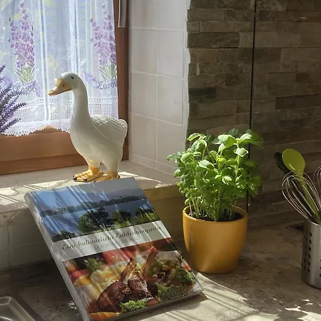 Апартаменты Alpenappartement Traumzeit